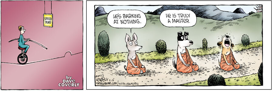 Speed Bump for Nov 19, 2023