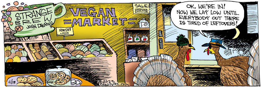 Strange Brew for Nov 19, 2023