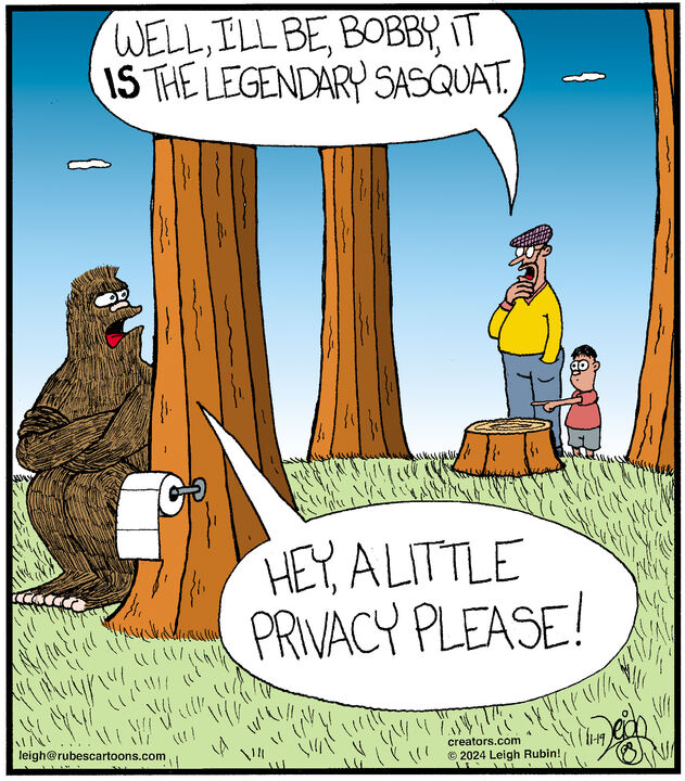 Rubes® for Nov 19, 2024