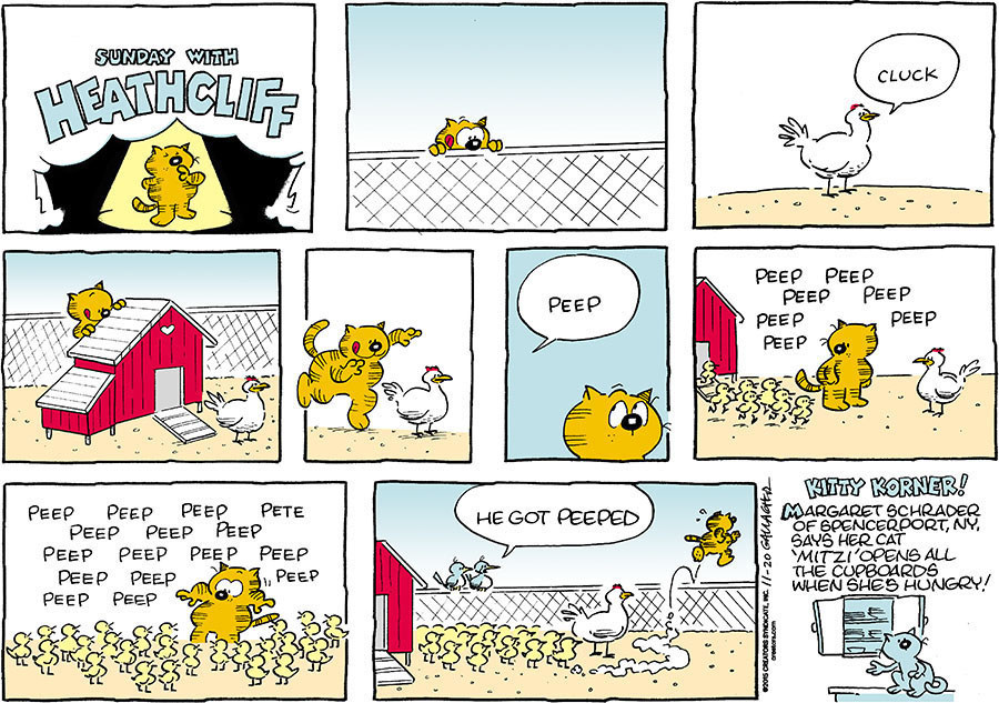 Heathcliff for Nov 20, 2022