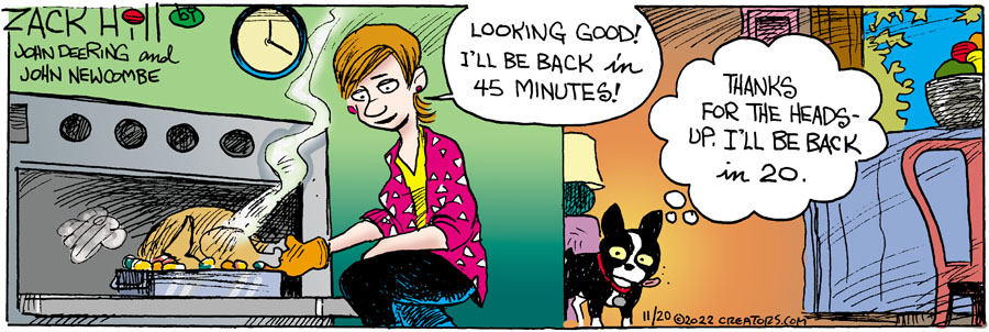 Zack Hill for Nov 20, 2022