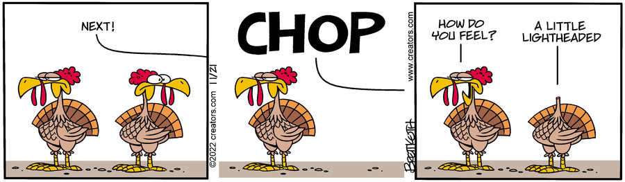 Diamond Lil for Nov 21, 2022