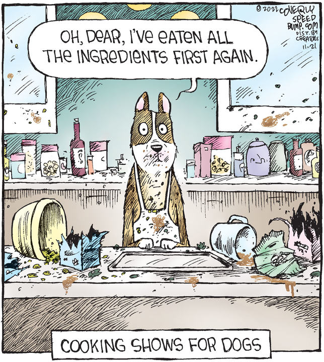 Speed Bump for Nov 21, 2022