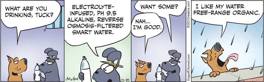 Dogs of C-Kennel for Nov 21, 2022