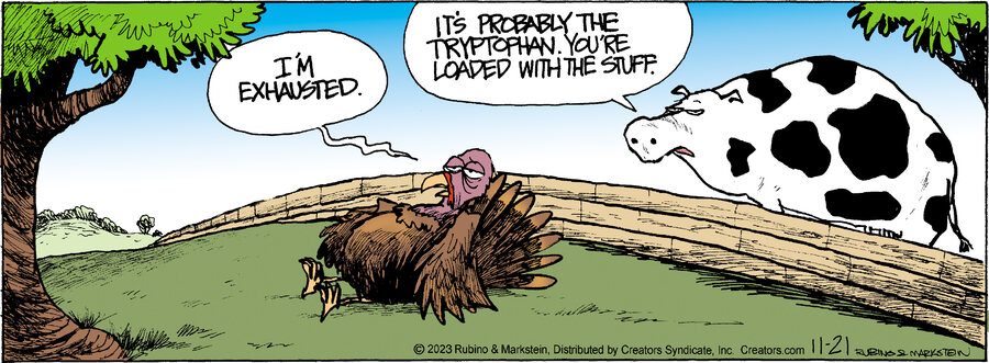 Daddy's Home for Nov 21, 2023