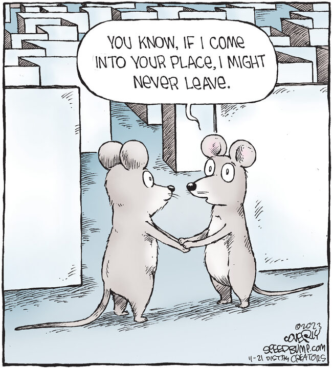 Speed Bump for Nov 21, 2023