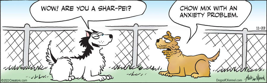 Dogs of C-Kennel for Nov 22, 2022