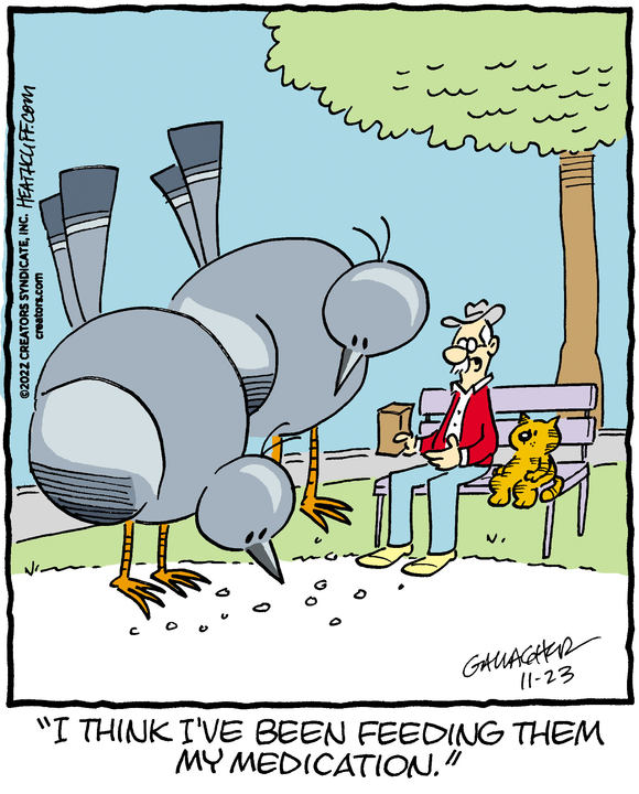 Heathcliff for Nov 23, 2022