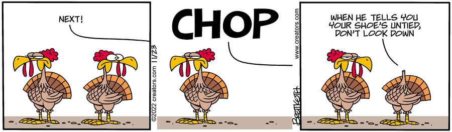 Diamond Lil for Nov 23, 2022