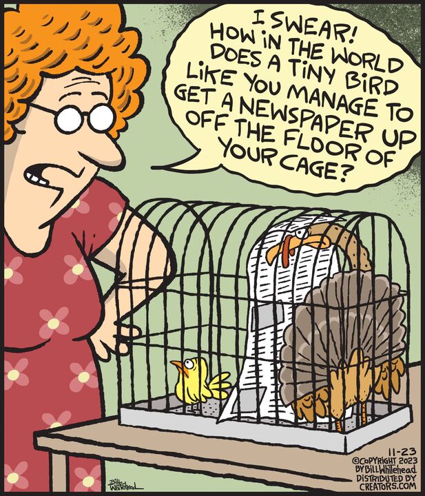 Free Range for Nov 23, 2023