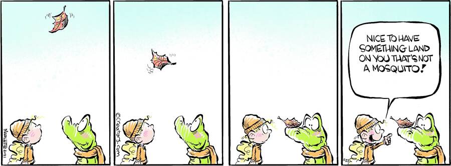 Shrimp and Grits for Nov 23, 2024