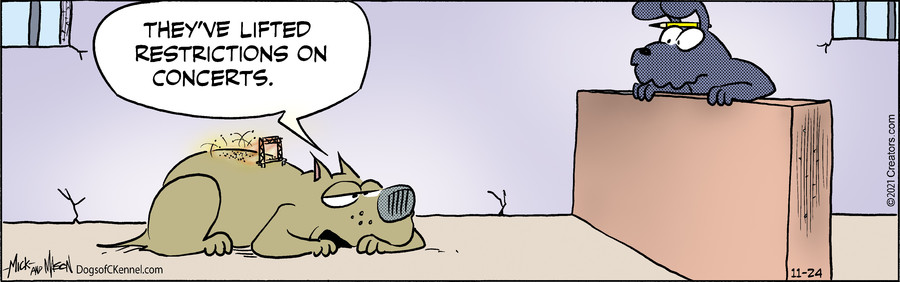 Dogs of C-Kennel for Nov 24, 2021