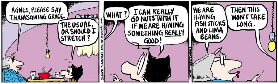 Agnes for Nov 24, 2022