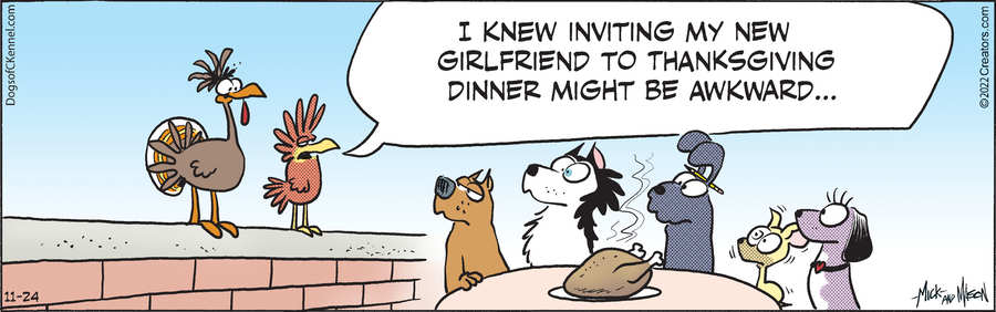 Dogs of C-Kennel for Nov 24, 2022