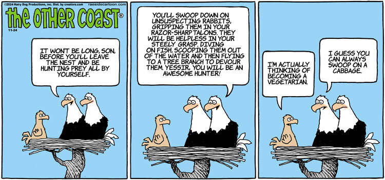 The Other Coast for Nov 24, 2024