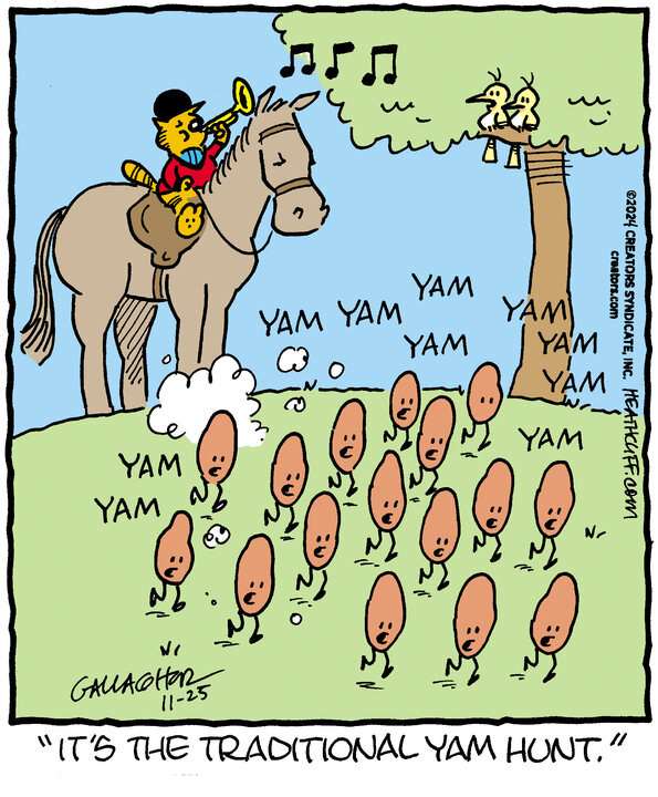 Heathcliff for Nov 25, 2024