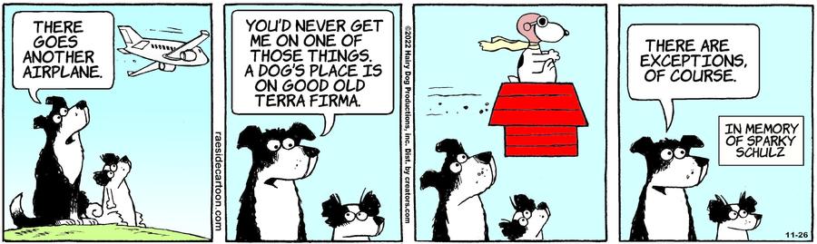 The Other Coast for Nov 26, 2022