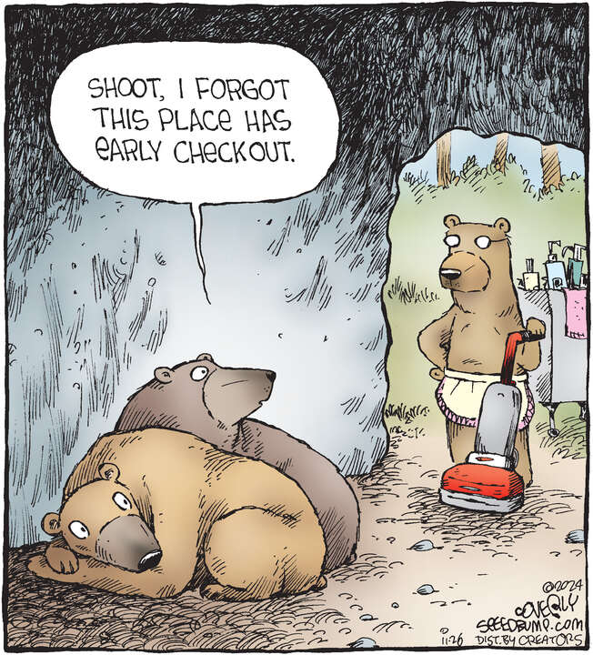 Speed Bump for Nov 26, 2024