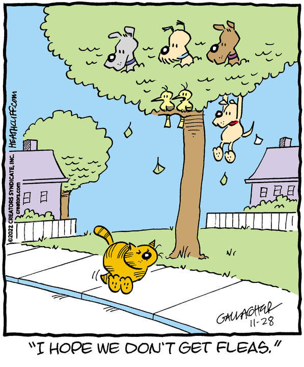 Heathcliff for Nov 28, 2022