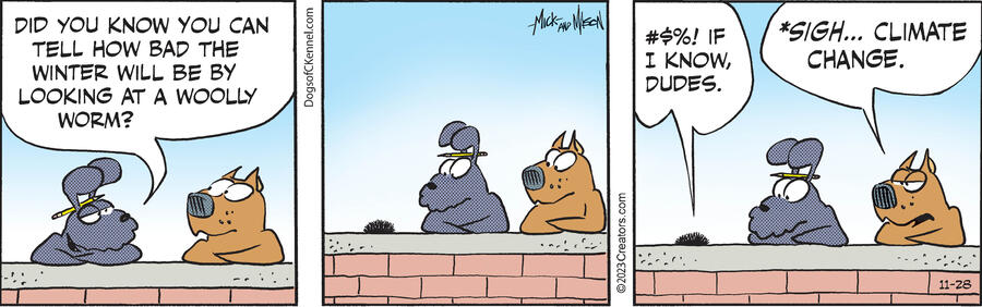 Dogs of C-Kennel for Nov 28, 2023