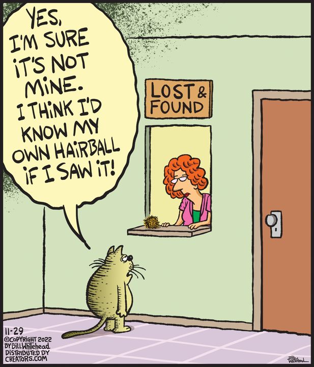 Free Range for Nov 29, 2022