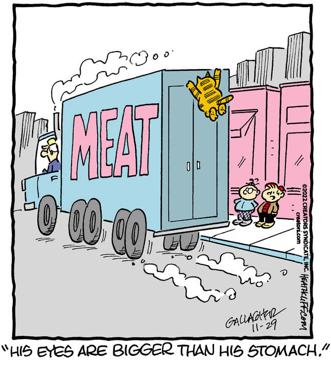 Heathcliff for Nov 29, 2022