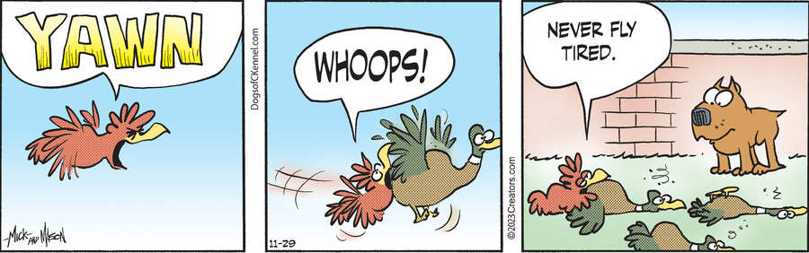 Dogs of C-Kennel for Nov 29, 2023