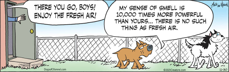 Dogs of C-Kennel for Nov 30, 2023