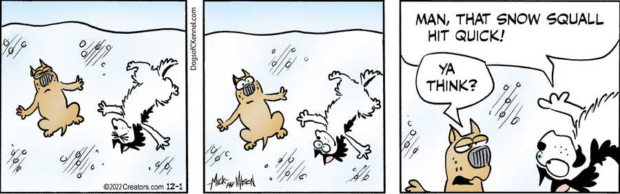 Dogs of C-Kennel for Dec 01, 2022