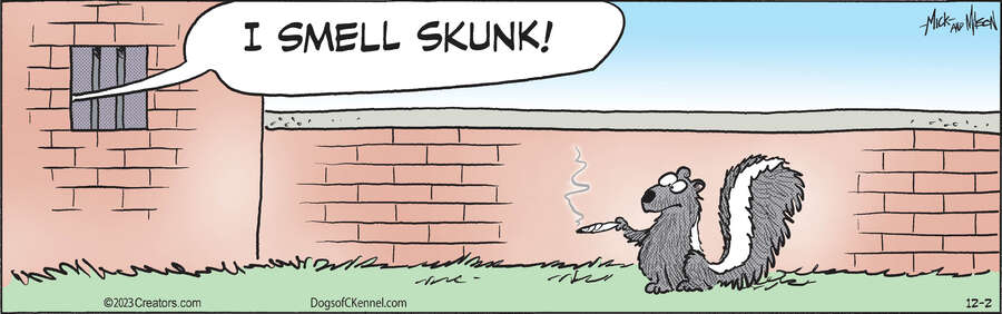 Dogs of C-Kennel for Dec 02, 2023