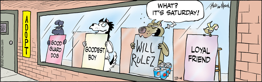 Dogs of C-Kennel for Dec 04, 2021