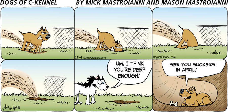 Dogs of C-Kennel for Dec 04, 2022