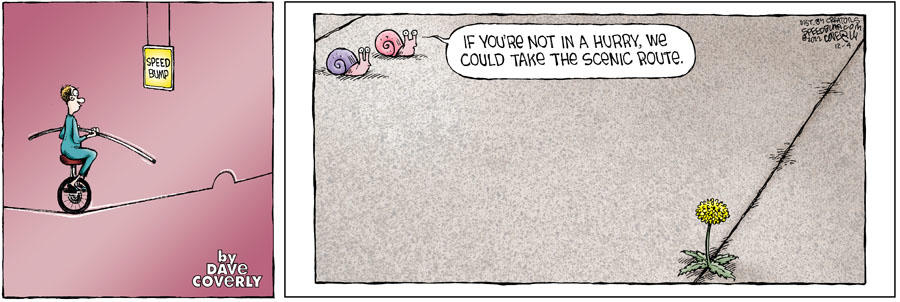 Speed Bump for Dec 04, 2022