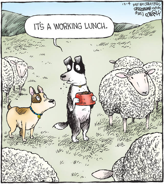 Speed Bump for Dec 04, 2023