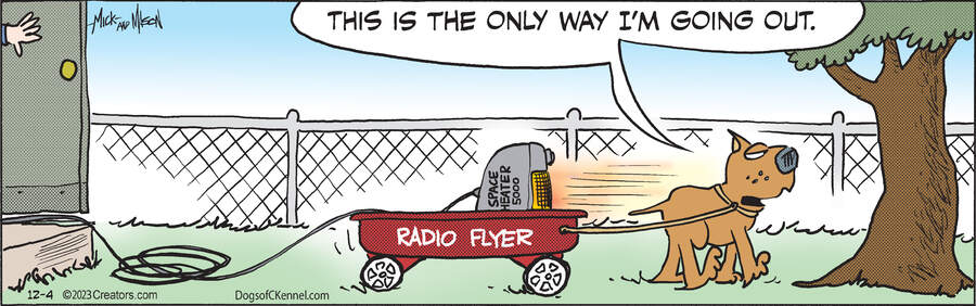 Dogs of C-Kennel for Dec 04, 2023