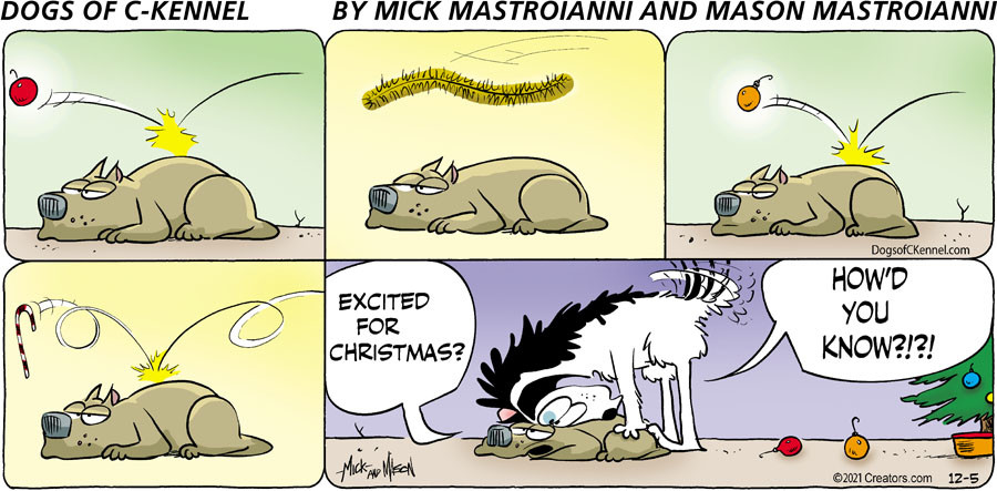 Dogs of C-Kennel for Dec 05, 2021