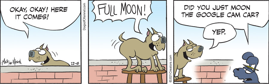 Dogs of C-Kennel for Dec 06, 2021