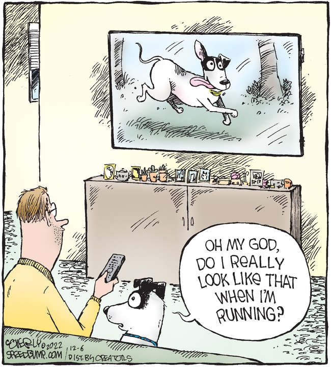 Speed Bump for Dec 06, 2022