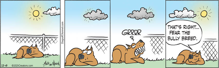 Dogs of C-Kennel for Dec 06, 2023