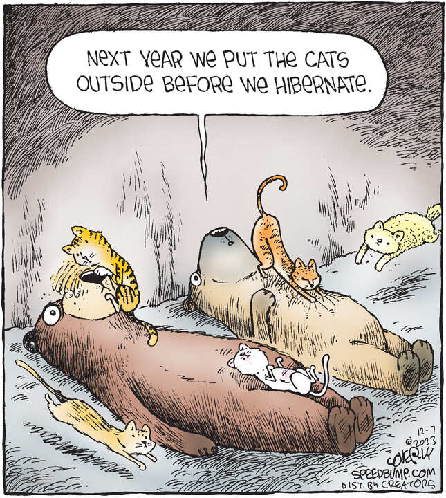 Speed Bump for Dec 07, 2023