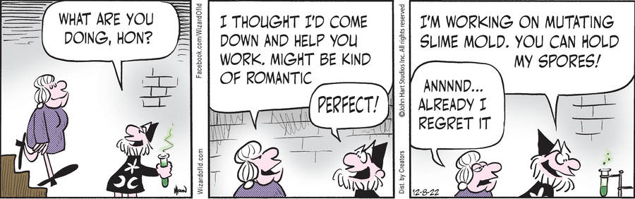 Wizard of Id for Dec 08, 2022