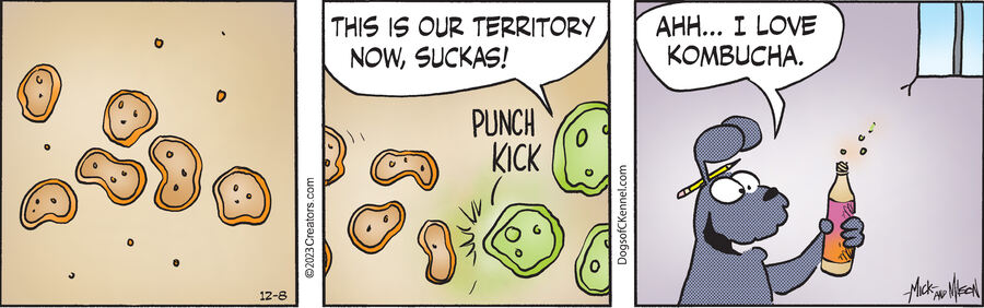 Dogs of C-Kennel for Dec 08, 2023