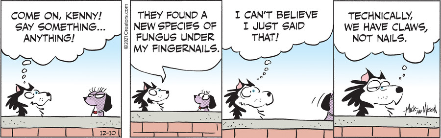 Dogs of C-Kennel for Dec 10, 2021