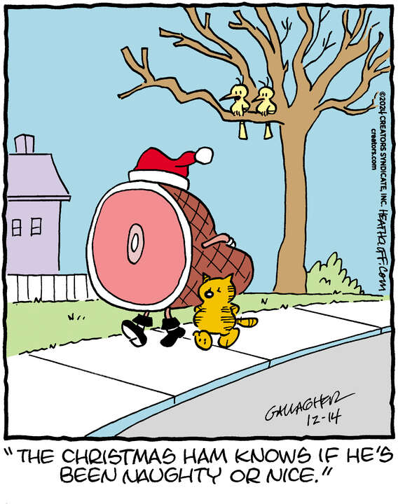 Heathcliff for Dec 14, 2024