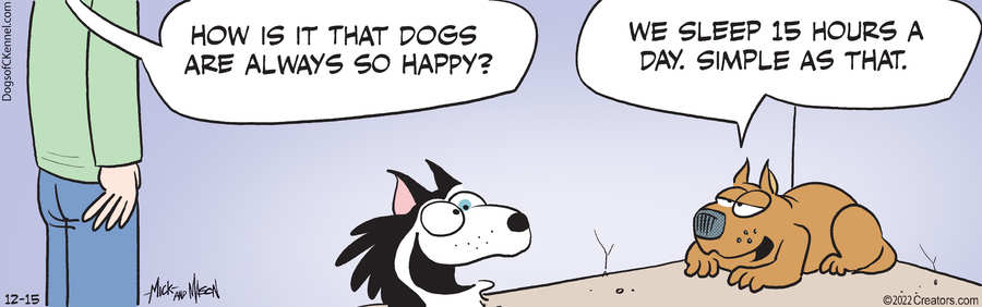 Dogs of C-Kennel for Dec 15, 2022