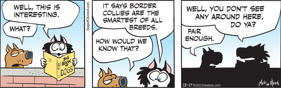 Dogs of C-Kennel for Dec 17, 2022
