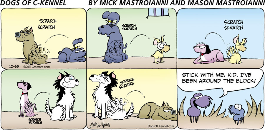 Dogs of C-Kennel for Dec 19, 2021