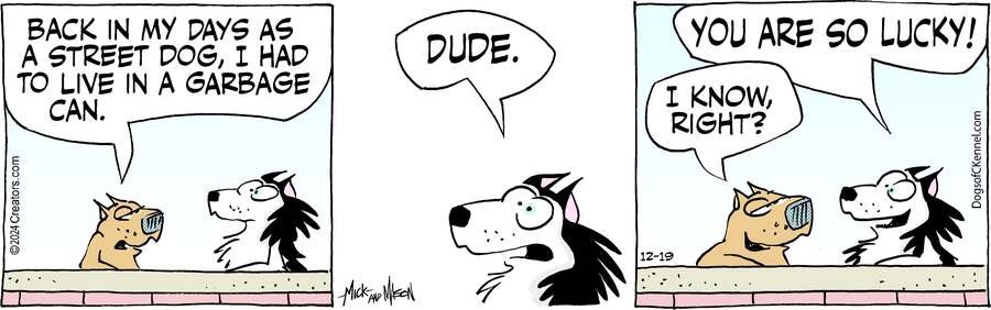 Dogs of C-Kennel for Dec 19, 2024