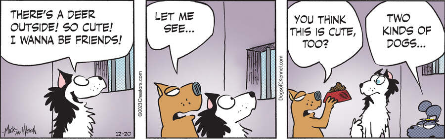 Dogs of C-Kennel for Dec 20, 2023