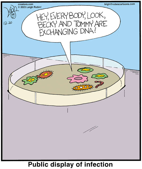 Rubes® for Dec 20, 2023